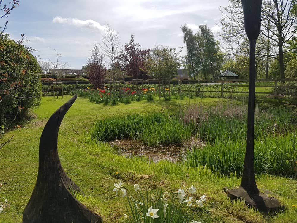 New tree planting service in garden in Cockfield, Suffolk