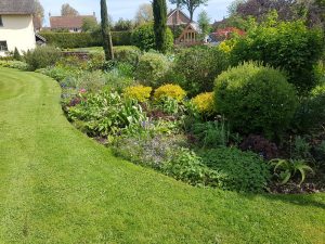 Regular garden maintenance service - near Bury St Edmunds