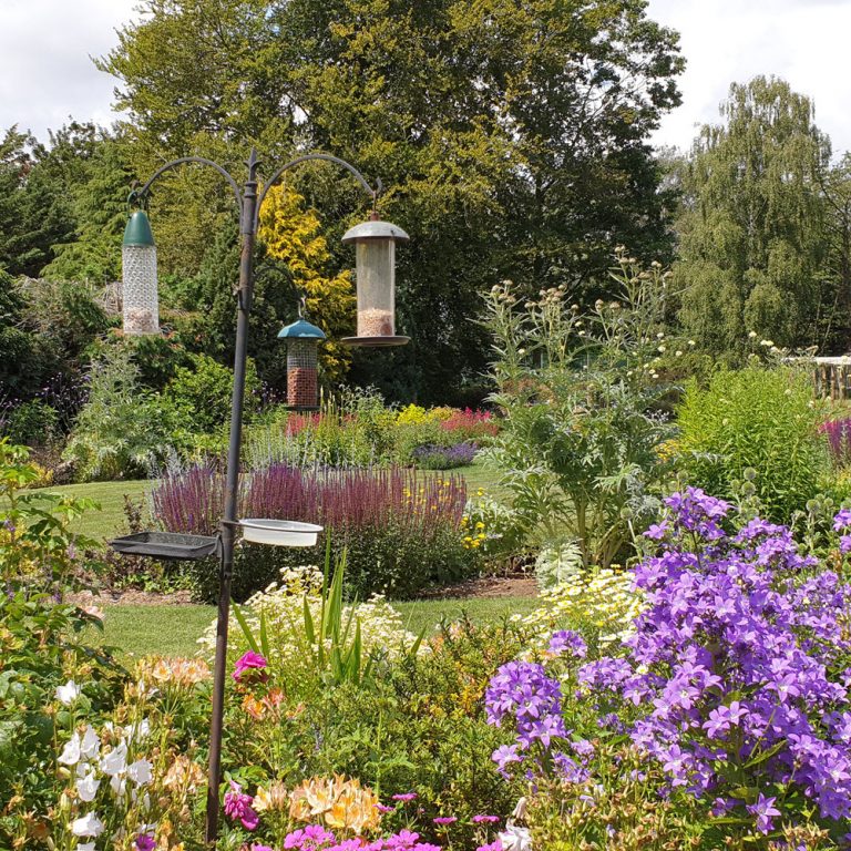 Contact CCG Gardeners Garden Maintenance Services in Bury St Edmunds