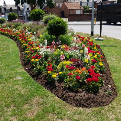 Smiley commercial plantings by CCG Gardeners